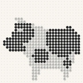 Modèle perle à repasser vache