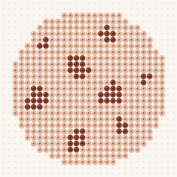 Modèle de perles à repasser biscuit sur une plaque de 29 × 29