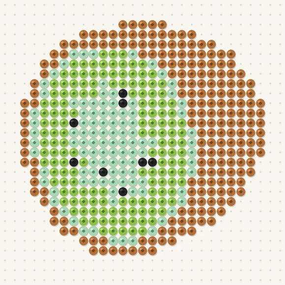 Modèle de perles à repasser kiwi sur une plaque de 29 × 29