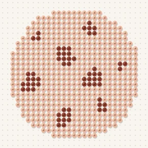 Modèle perle à repasser biscuit